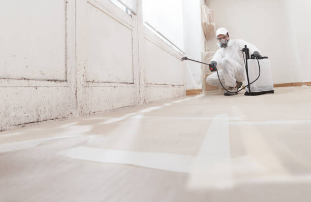 24/7 Emergency Attic Mold Remediation experts in Baldwin, GA