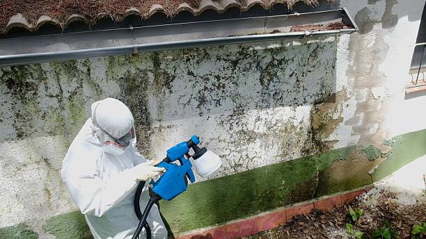 Top rated local Attic Mold Remediation specialists in Baldwin, GA